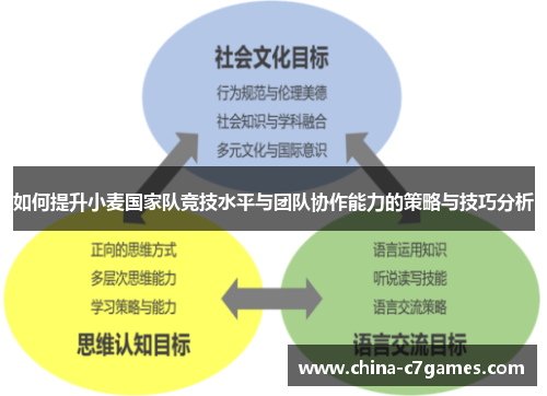 如何提升小麦国家队竞技水平与团队协作能力的策略与技巧分析