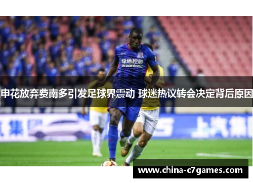 申花放弃费南多引发足球界震动 球迷热议转会决定背后原因