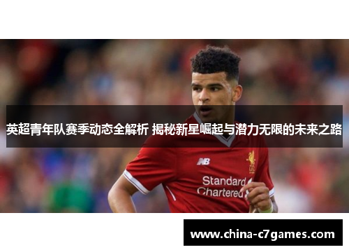 英超青年队赛季动态全解析 揭秘新星崛起与潜力无限的未来之路