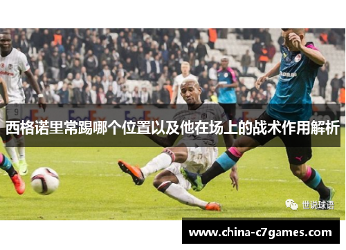 西格诺里常踢哪个位置以及他在场上的战术作用解析
